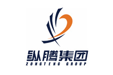 縱騰集團(tuán)